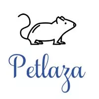 Petlaza