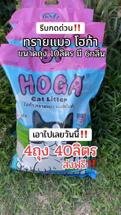 #cátmèobénโทรไนท์
#miễnphígiao_hàng
#cátmèoโฮก้า
#cátmèo10lít
#cátmèo4túi
#cátmèo40lít
#cóphiếu_giao_hàng_miễn_phí
#nhanhbămtạokhuyếnmãi
#đồdùngmèo
#cátmèogiaomiễnphí
