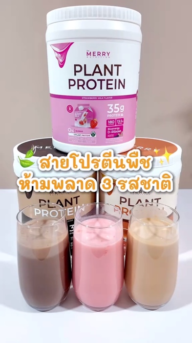 แนะนำโปรตีนพืชสามรสชาติที่ทานง่าย #plantprotein #themerry #โปรตีน