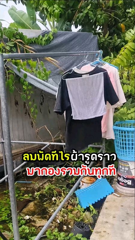 “ลมพัดทีไร ผ้ารูดราวมากองรวมกันทุกที" #ตะขอกันลม #ตะขอแขวน #ห่วงตากผ้าสแตนเลส #ตะขอกันลมราวตากผ้า #ตะขอแขวนกันลม #ห่วงตากผ้า #ตากผ้าไม่ปลิว