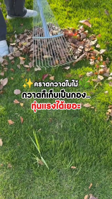 คราด quét lá.. quét một chút đã thành chồng 🛠️✨ #คราด #คราดQuétLá #คราดQuét #DụngCụThợ #ĐồDùngThợ #ĐánhGiáTốt #ClipBùngTrongThưViệnĐánhGiá