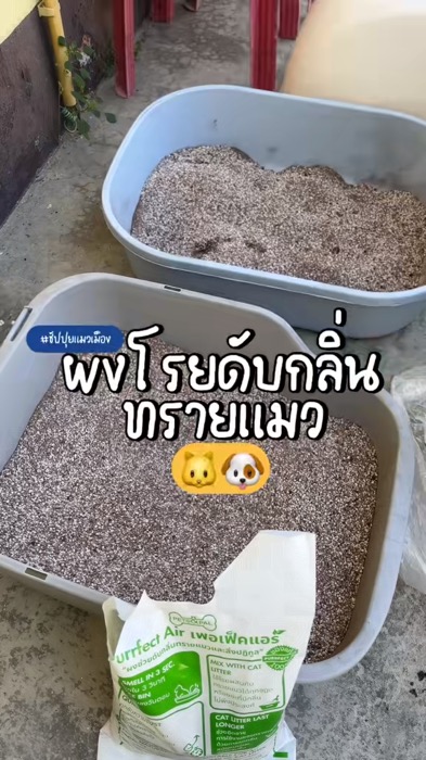 Loại bỏ mùi hạt cát mèo bằng thứ này #đổimùi_hấtcàtmèo #bộtxịtkhửmừihấtcàtmèo #hậtcàtmèohôi #khửmùi #sảnphẩmtốtแอพส้ม #ทาสแมว