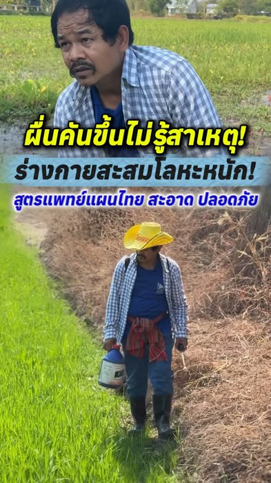 #ชารางจืด #ชาล้างสารพิษ #ไทยเฮิร์บ
