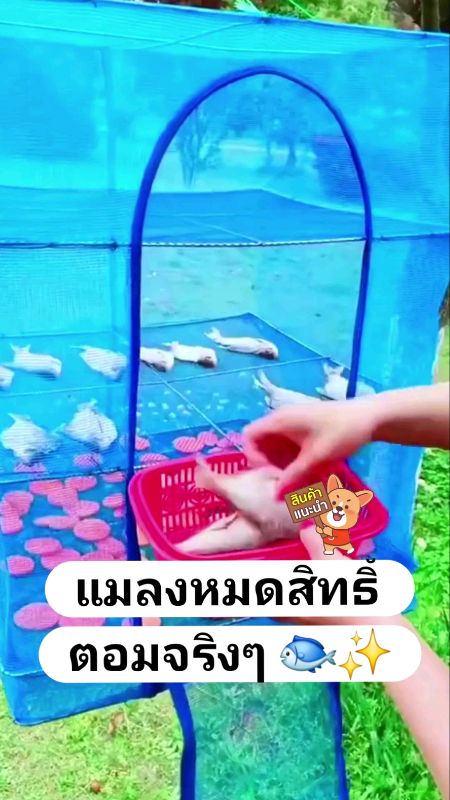 มุ้งตากปลา/ตากอาหาร 🐟✨ สะอาด แห้งไว กันแมลงจริง ราคาน่ารัก ใครตากปลาอยู่ต้องมีแล้ว 💙 #มุ้งตากปลา #ของใช้ในบ้าน #ของมันต้องมี #ShopeeVideo #รีวิวของด