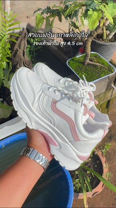 #รองเท้า #รองเท้าผ้าใบ