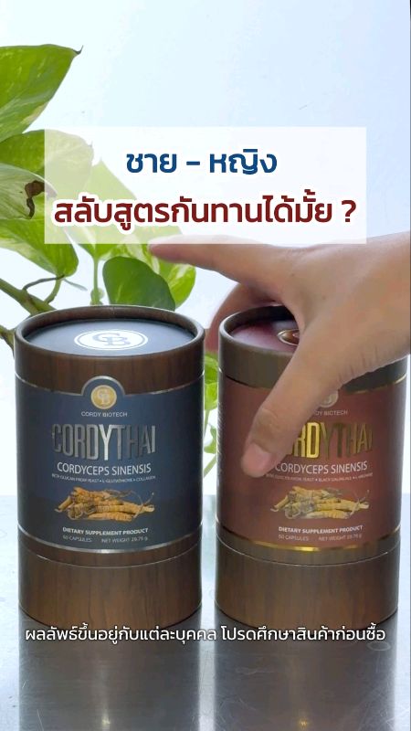 😕❓ Cordy Thai dành cho nam và nữ, có thể luân phiên dùng các công thức không? #ถั่งเช่ามอเกษตร #สุขภาพดี #ถั่งเช่าทิเบต #ถั่งเช่าคอร์ดี้ไทย #อาหารเสริม