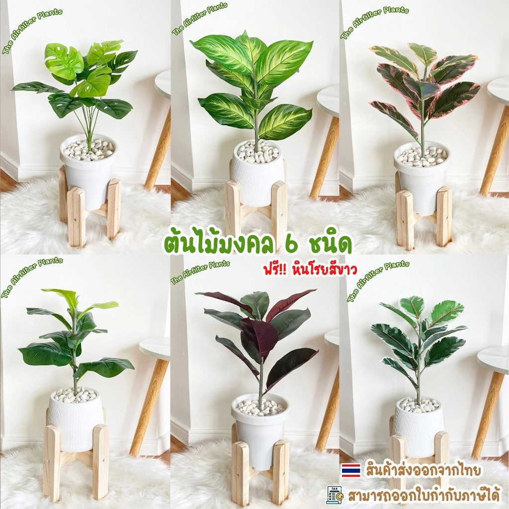 ต้นไม้ปลอม ต้นไม้มงคล 6 ชนิด พร้อมกระถางและหินสี