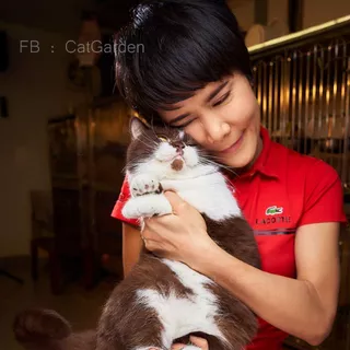 CatGarden