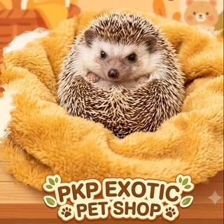 PKP PET SHOP